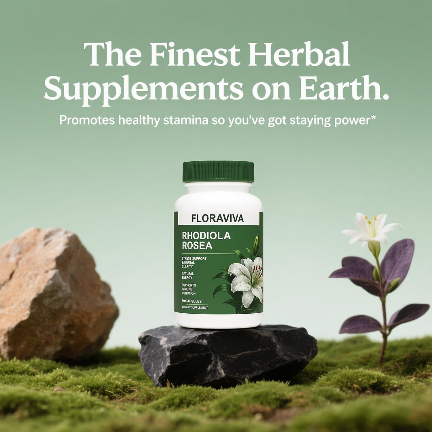 Floraviva Rhodiola Rosea Capsules 500mg - Natural Adaptogen Supplement for Stress Support, Mental Focus & Energy - Non-GMO