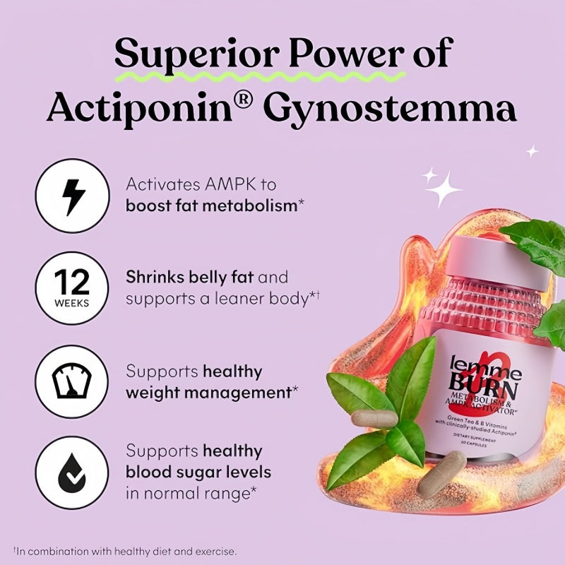 Lemme Burn - Metabolism, Belly Fat Burning + AMPK Activating Supplement for Men & Women w/Clinically Studied Actiponin Gynostemma, Green Tea Extract, Vitamins B6 & B12 - Gluten Free, 60 Count